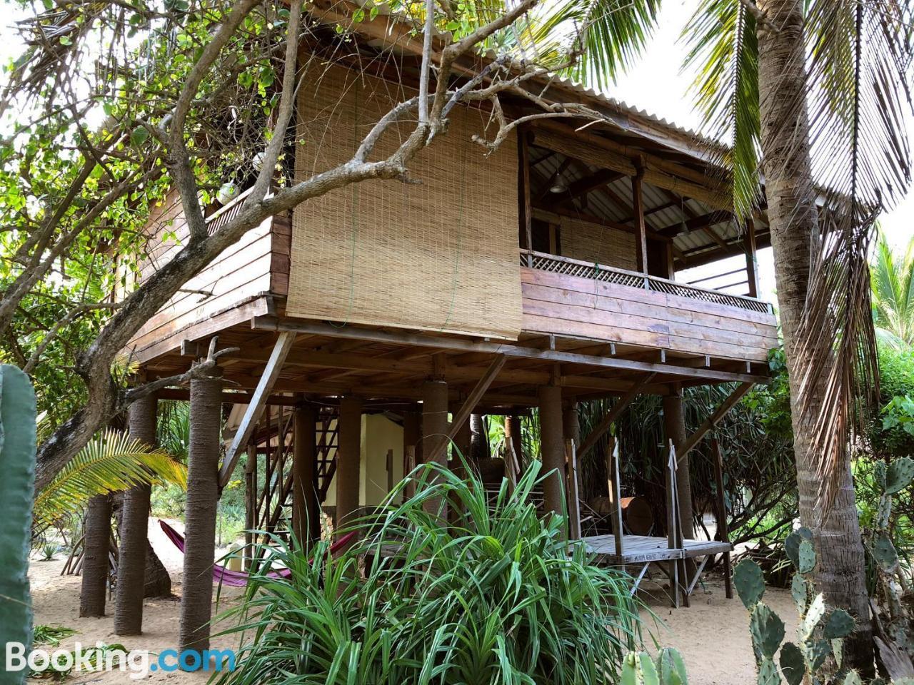 Albero Cabanas Arugam Bay Exterior foto