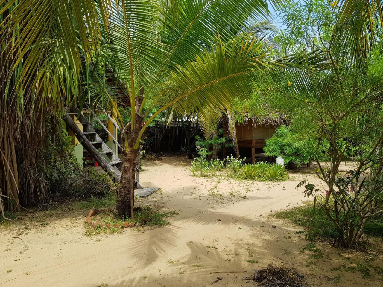 Albero Cabanas Arugam Bay Exterior foto