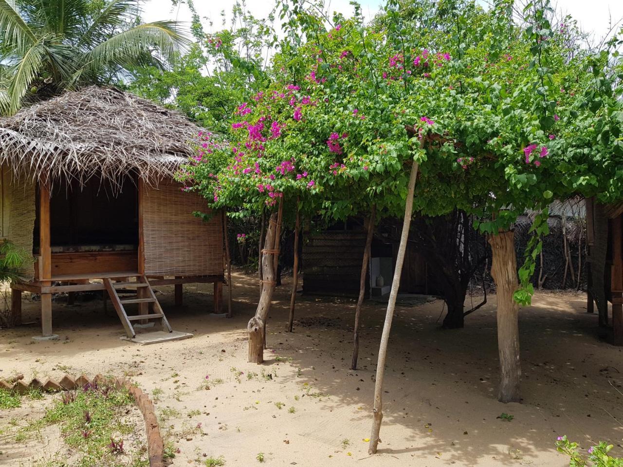 Albero Cabanas Arugam Bay Exterior foto