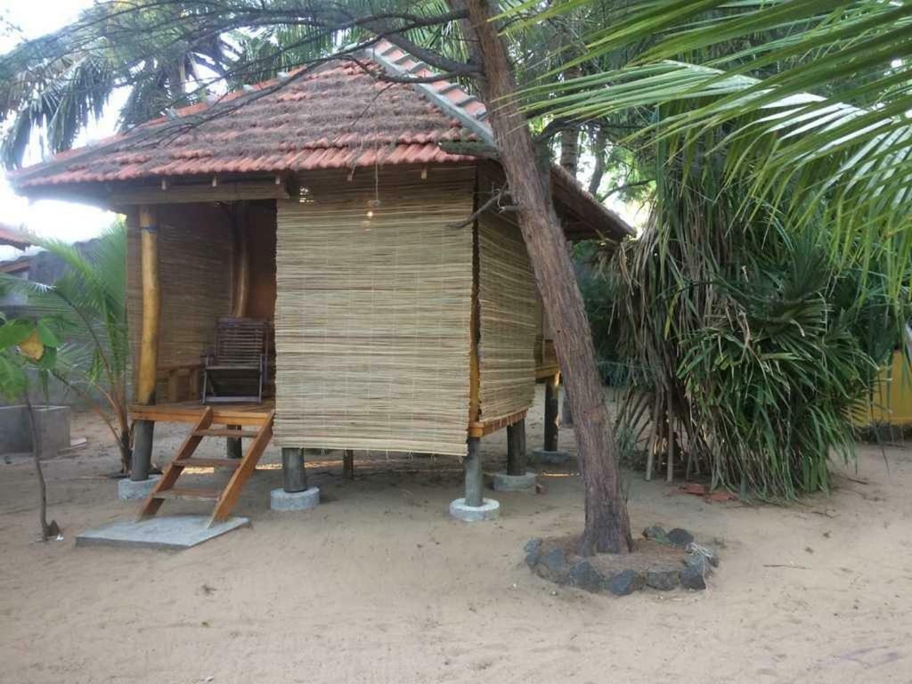 Albero Cabanas Arugam Bay Habitación foto